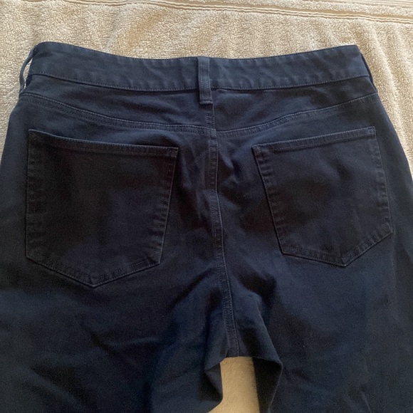 Everlane great Elastane/cotton blend bluish pants. So comfy and flattering. - Picture 13 of 15